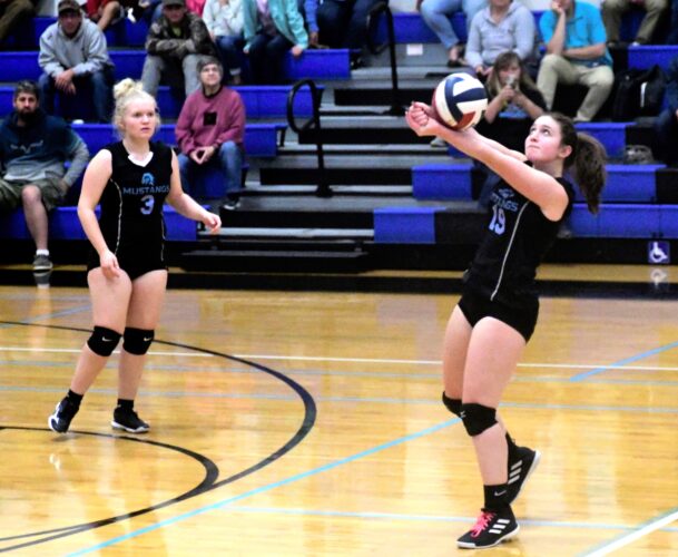 Huskies silence Susquehanna, 3-0 | News, Sports, Jobs - The Sentinel